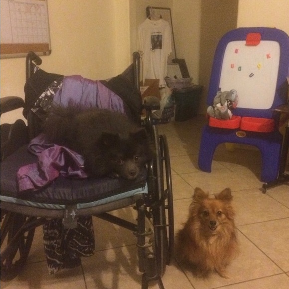 Néw offer please read it’s spectacular!🤗 - Picture 8 of 9